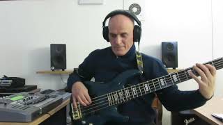Un&#39;orgia di anime perse (Zucchero Fornaciari) - bass cover