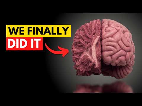 How We Broke Huntington's Curse