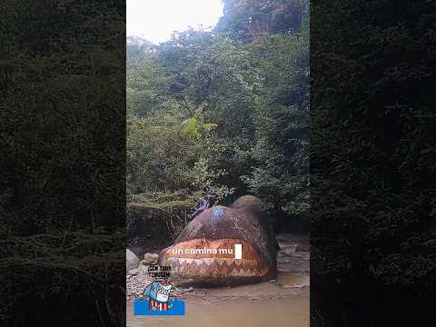 Charco de la Ballena 🐋 | Tesoro Natural en Faltriqueras – Jamundí, Valle del Cauca