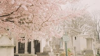 {K-Ballad} 2AM - 위로 (Consolation) Thaisub