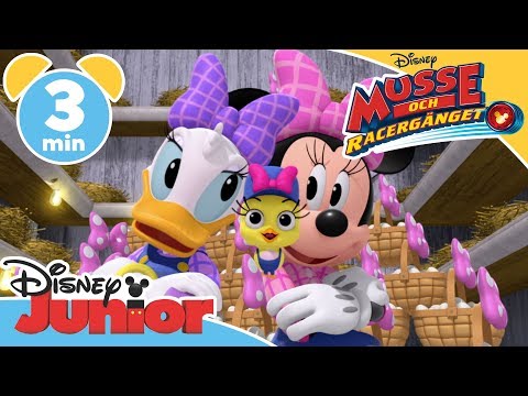 Musse och Racergänget | Hjälpredor på bondgården - Disney Junior Sverige