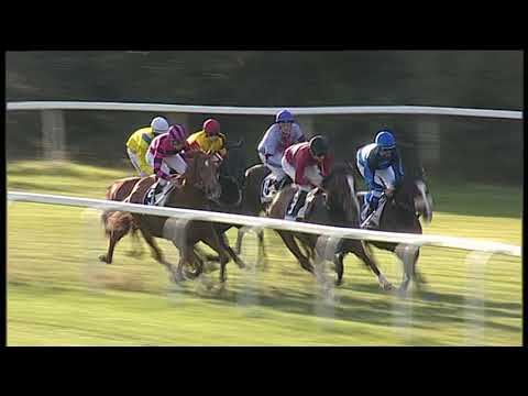 2018-11-22 Corsa 3 Metri 1500 Premio Francesco Massicci