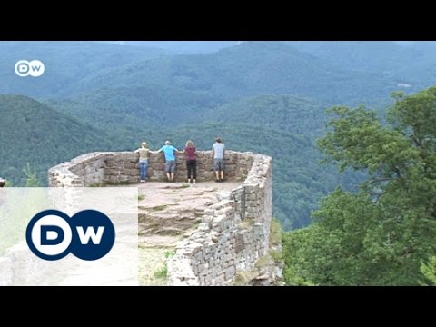 Palatinate Forest - Nature without borders | Discover Germany