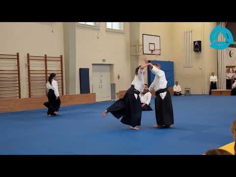 Aikido Christian Tissier Shihan Embukai 25 Jahre