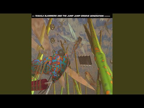 You Can't Stop The Groove