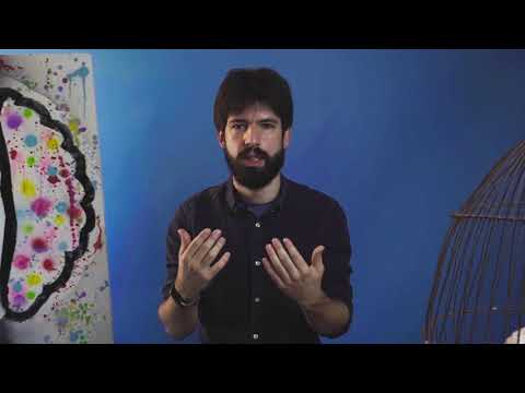 Com descansa el cervell? Si no descansa ni quan dormim, quan descansa?