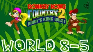 Donkey Kong Country 2 -- World 8-5: Animal Antics