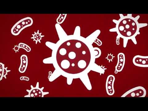 Erklärvideo | Schell | Elektronisch gesteuerte Armaturen | Hygienevideo