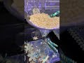 IMG 7686