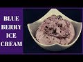 Homemade Blueberry Ice Cream No Eggs