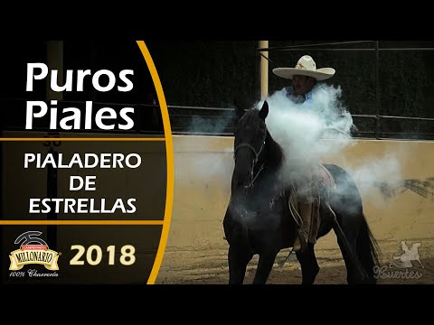 PIALADERO DE ESTRELLAS - Campeonato Millonario THV 2018