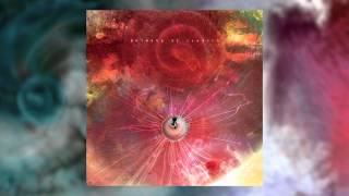 ANIMALS AS LEADERS - The Woven Web