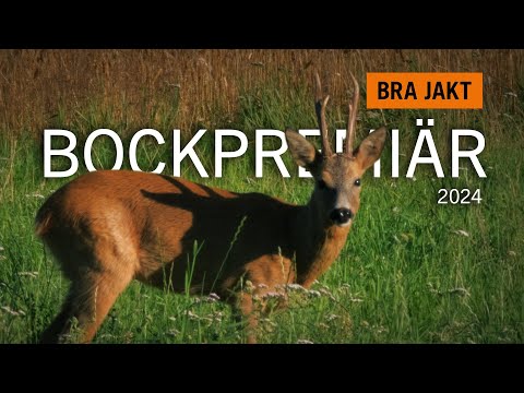 BOCKPREMIÄREN 2024! | BRA JAKT