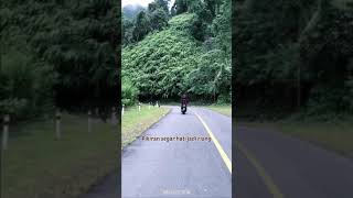 Download lagu Shaggydog - jalan jalan mp3