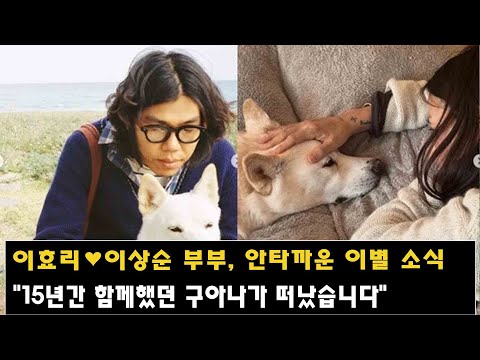 이효리♥이상순 부부, 안타까운 이별 소식…"15년간 함께했던 구아나가 떠났습니다"
