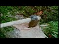 Unnal Mudiyum Thambi Kamalhaasan Song