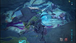 RIP reyzzn