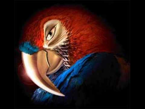 Desde Cero - Los Pericos