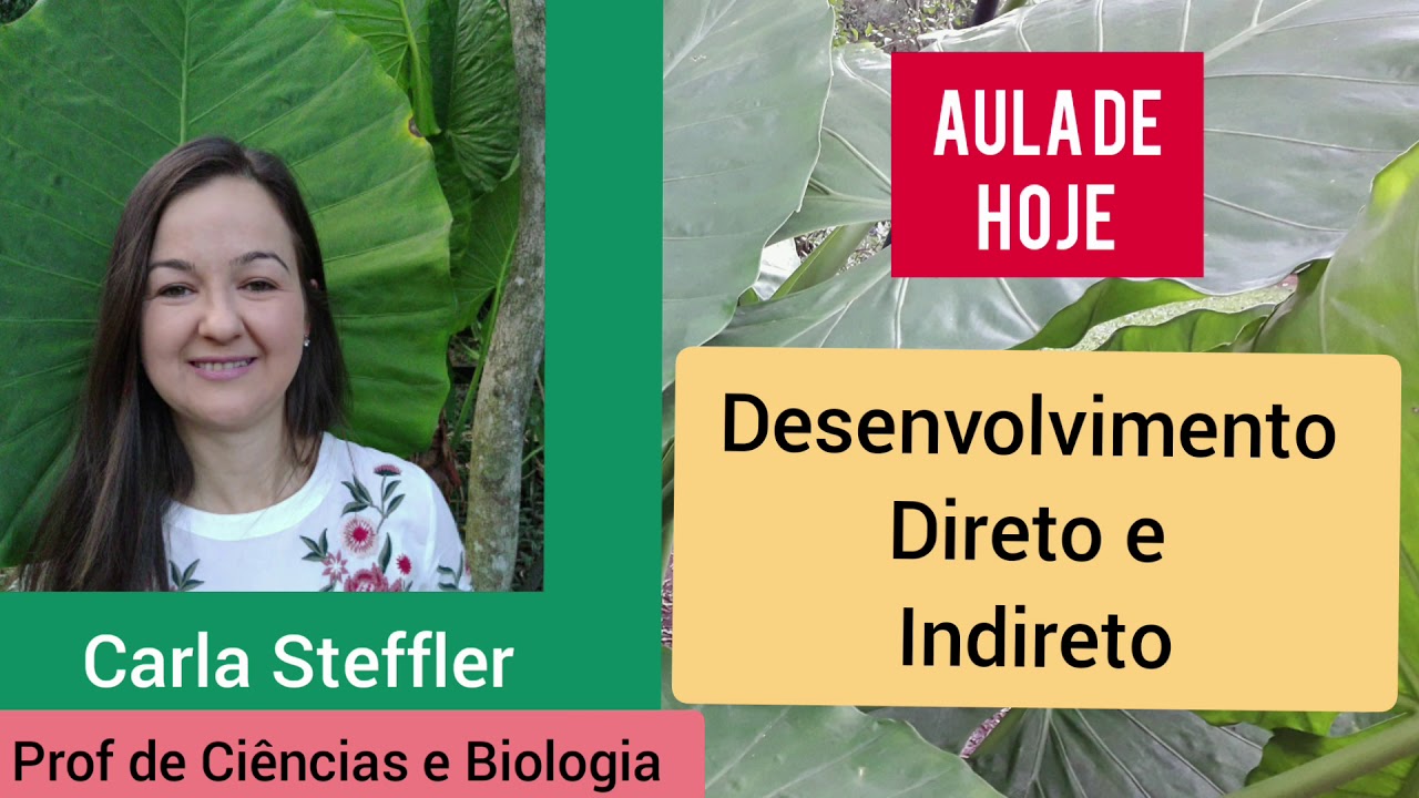 Desenvolvimento Direto e Indireto
