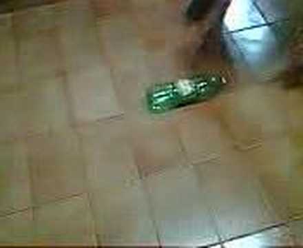 Commenti a un forum su Colm Come smettere di bere lalcool indipendentemente per bere il video