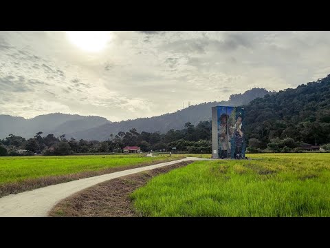 Cycling in Balik Pulau, Penang