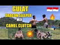 🔥GULAT/ WRESTLING || Dragon sleeper|| Camel clutch || Sleeper Hold & Armbar🔥