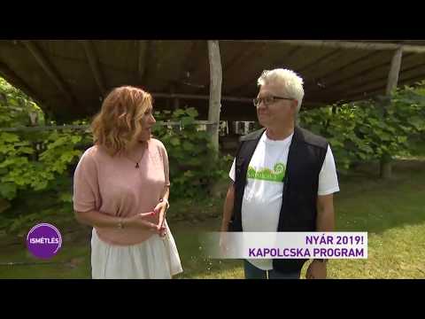 Nyár 2019! - Egy kis Kapolcska Katával