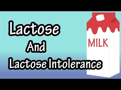 Lactose Powder