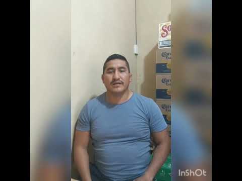 Tarea Inglés, lesson D // José  Guachamin // Pedro honores // Darwin Ibarra // Maria Illescas.