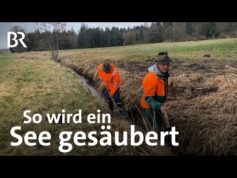 Der Pelhamer See wird sauber: Bauern organisieren Aktionen selbst | Schwaben + Altbayern | BR