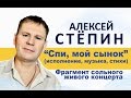 Алексей Стёпин (Alexey Stepin) - Спи, мой сынок (live) 