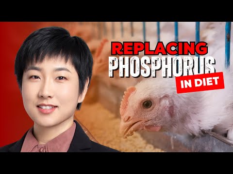 Can Phytase Replace Phosphorus? - Dr. Emma Song