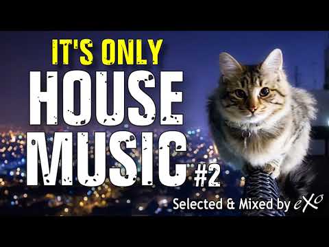 IT'S ONLY HOUSE MUSIC #2