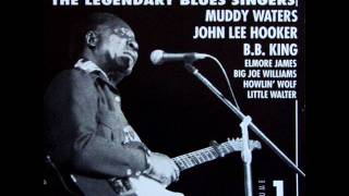 Big Joe Williams - Sloppy Drunk Blues (Live)