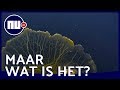 Mysterieuze blob nieuwe publiekstrekker in dierentuin Parijs? | NU.nl