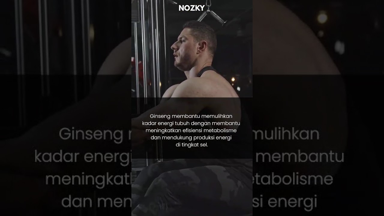 Nozky Coffee Creamer With Ginseng 6