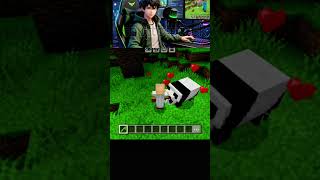 Minecraft Panda Mujhse Pyar Karne Laga Funny Minecraft Shorts | Cute Panda Love Story #Minecraft