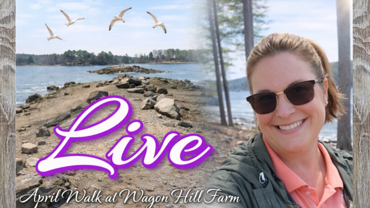 🔴 LIVE | April Walk at Wagon Hill Farm NH | Peaceful Coastal Nature Walk with DG Videtto