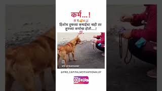 Download lagu hich amuchi prarthana.. #motivation #care #dogs #dog mp3 Download lagu hich amuchi prarthana.. #motivation #care #dogs #dog mp3