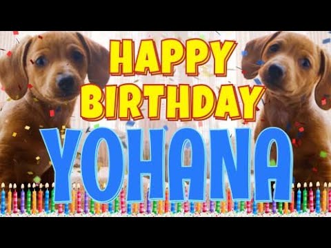 Happy Birthday Yohana! ( Funny Talking Dogs ) What Is Free On My Birthday