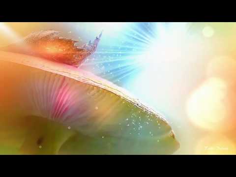 Schatten Und Licht - Michel van Dam