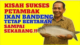 Download lagu Petani Bandeng Bangkit dari Keterpurukan | Inspirasi Usaha Sederhana.!🤗 mp3