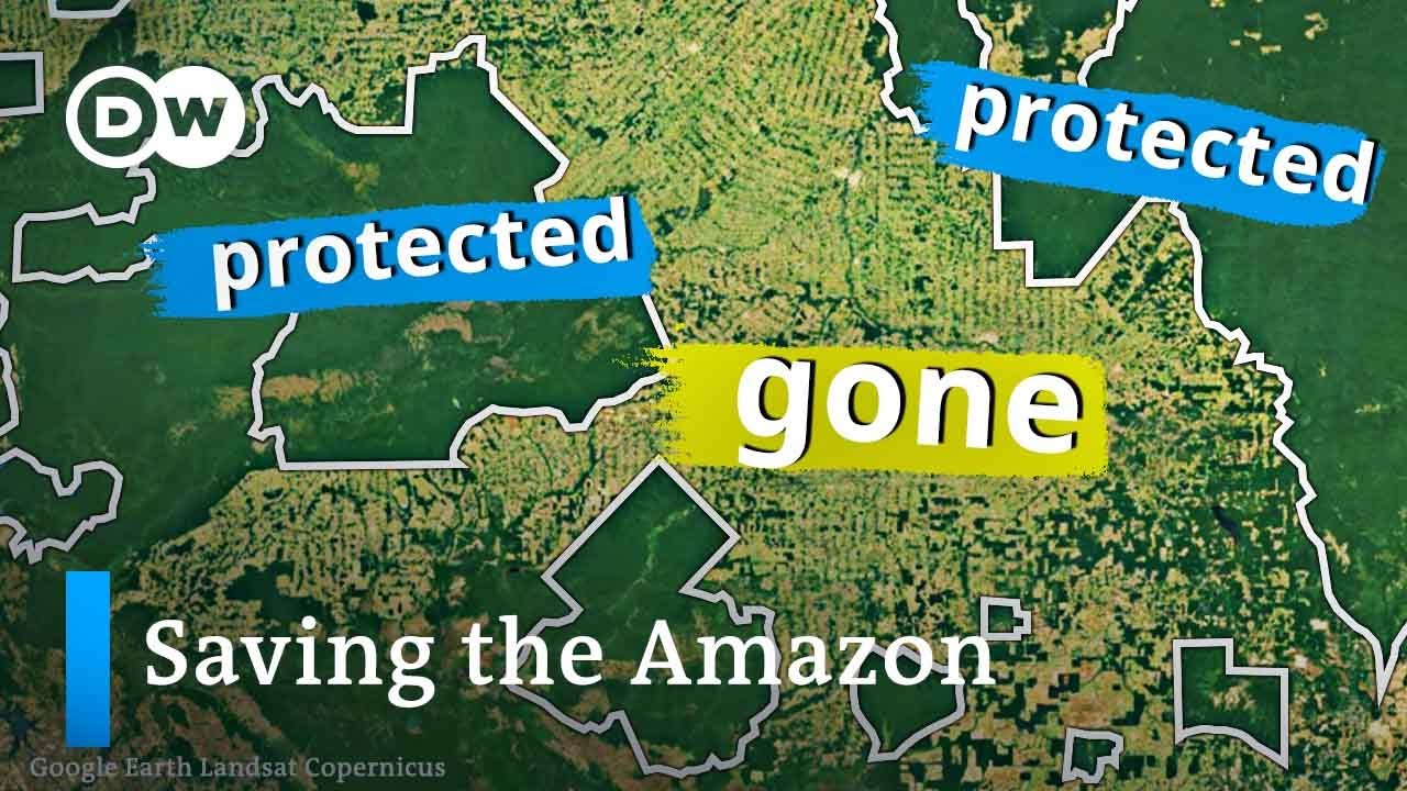 Can Brazil save the Amazon this time? - Documentarytube.com