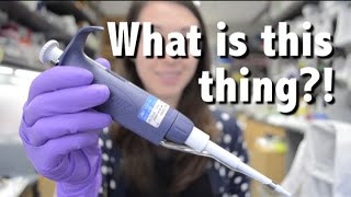 Pipette | What is this thing?!
