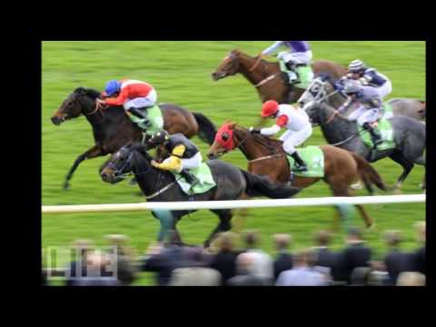 ATZENI ANDREA Jockey.mp4