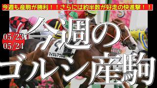 今週のゴールドシップ産駒 (05/23,24)【今週も産駒が勝利！！さらには約半数が好走の快進撃！！／マイネルアウルム,パーヴォほか】
