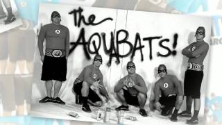 Awesome Forces! by The Aquabats from the album Charge!!