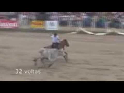 Os mais tauras do laço