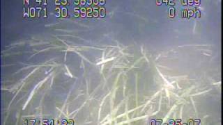 preview picture of video 'MapCoast Bottom of Point Judith Pond, RI - 5'