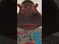Hippo Robot